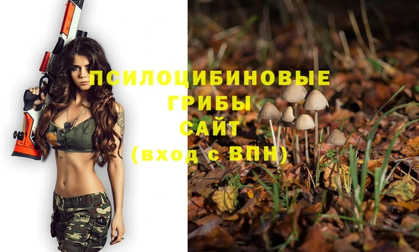 соль курить ск Вязники